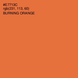 #E7713C - Burning Orange Color Image